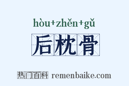 后枕骨是什么意思的图片